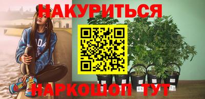 дмт Пенза